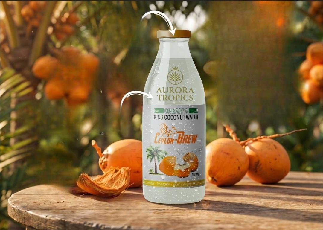 King Coconut - 350ML — image 2